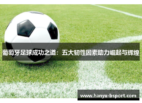 葡萄牙足球成功之道：五大韧性因素助力崛起与辉煌