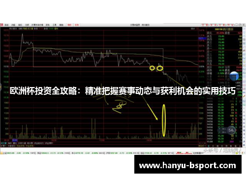 欧洲杯投资全攻略：精准把握赛事动态与获利机会的实用技巧