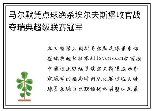 马尔默凭点球绝杀埃尔夫斯堡收官战夺瑞典超级联赛冠军